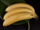 Cod. 5505SF - Banana