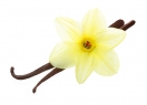 Cod. 31019 - Aroma Vanillina flower 21,4°